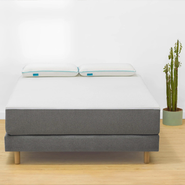 Marmota Hybrid Premium