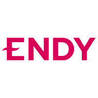 Endy logo