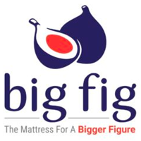 The Big Fig logo